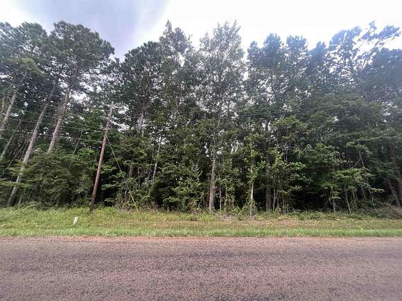 16.7 Acres of Land for Sale in San Augustine, Texas