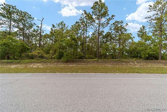 0.24 Acres of Residential Land for Sale in Citrus Springs, Florida