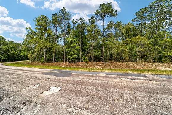 0.42 Acres of Residential Land for Sale in Citrus Springs, Florida