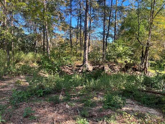 2 Acres of Residential Land for Sale in Elm Grove, Louisiana