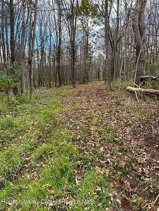 5.9 Acres of Residential Land for Sale in Jewett, New York