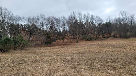 4 Acres of Residential Land for Sale in Hart, Michigan