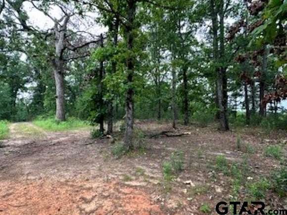 0.75 Acres of Residential Land for Sale in Flint, Texas