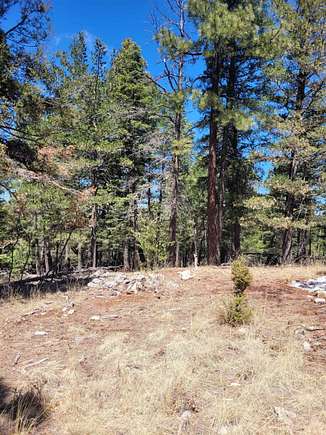 19.6 Acres of Land for Sale in Cloudcroft, New Mexico