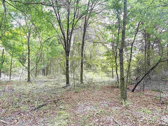 33.91 Acres of Land for Sale in Palestine, Texas