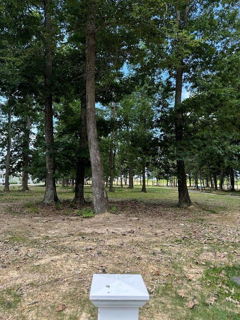 0.1 Acres of Residential Land for Sale in Cape Charles, Virginia