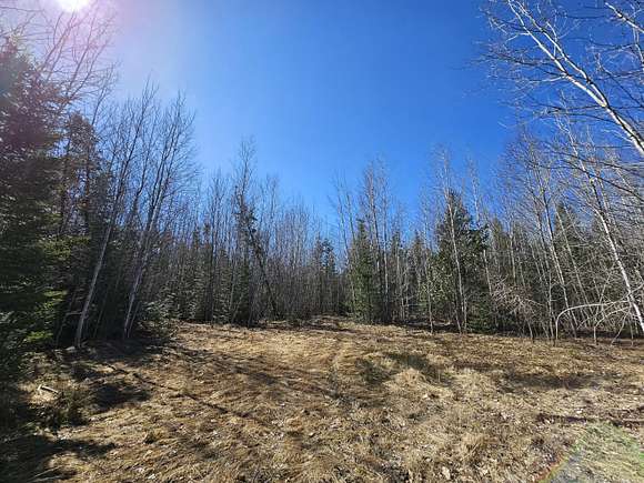 14.5 Acres of Land for Sale in Indian River, Michigan