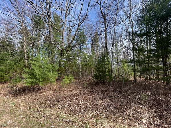 0.79 Acres of Residential Land for Sale in Houghton Lake, Michigan