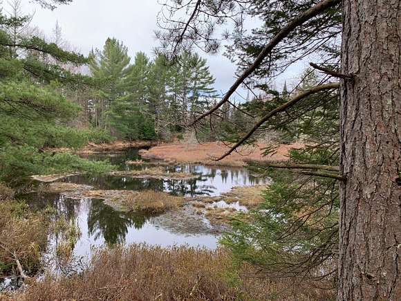 5 Acres of Land for Sale in Presque Isle, Wisconsin