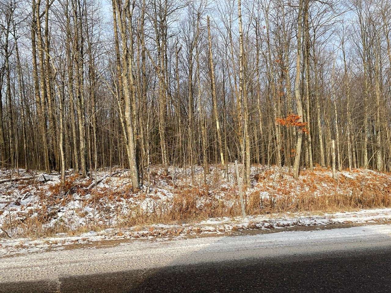 21.5 Acres of Land for Sale in Rhinelander, Wisconsin