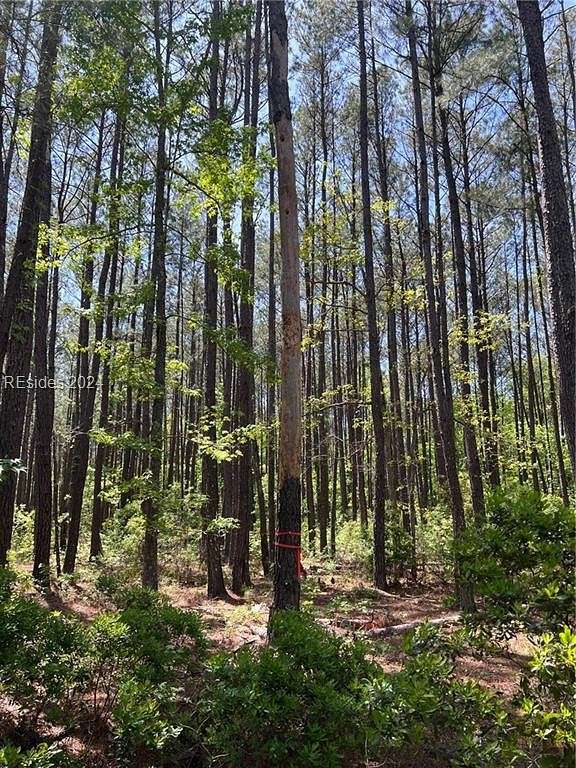 0.5 Acres of Residential Land for Sale in Daufuskie Island, South Carolina