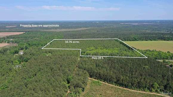 32.8 Acres of Land for Sale in Walnut Hill, Florida