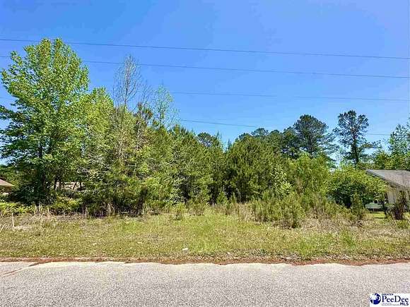 0.3 Acres of Residential Land for Sale in Florence, South Carolina