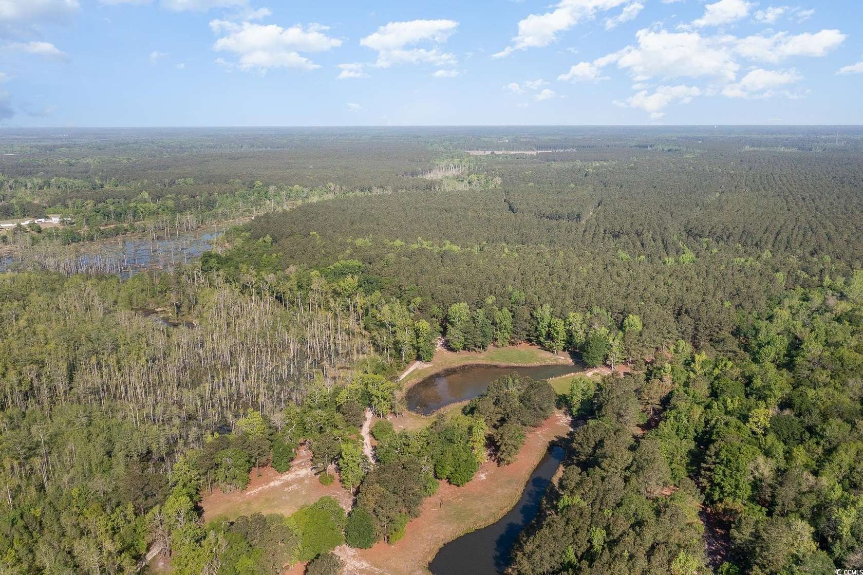 78.7 Acres of Recreational & Residential Land for Sale in Conway, South Carolina