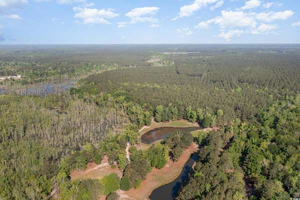 78.7 Acres of Recreational & Residential Land for Sale in Conway, South Carolina