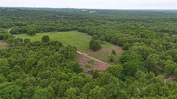 110 Acres of Recreational Land for Sale in St. Jo, Texas