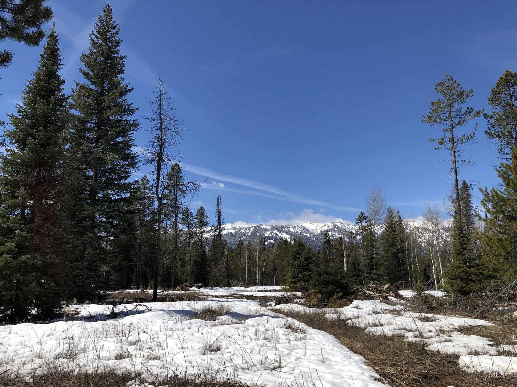 0.59 Acres of Land for Sale in Donnelly, Idaho