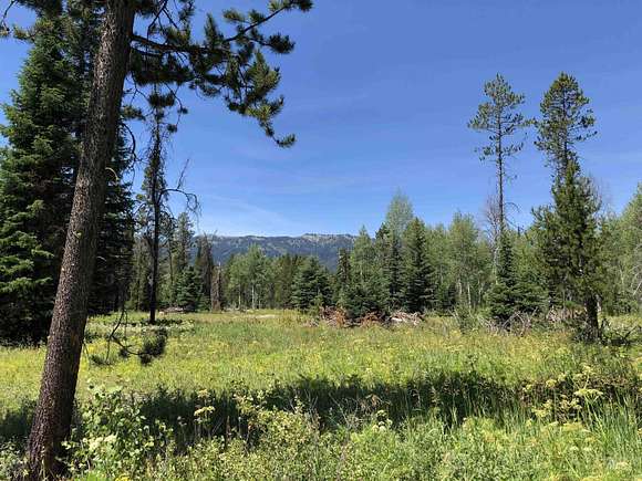 0.59 Acres of Land for Sale in Donnelly, Idaho