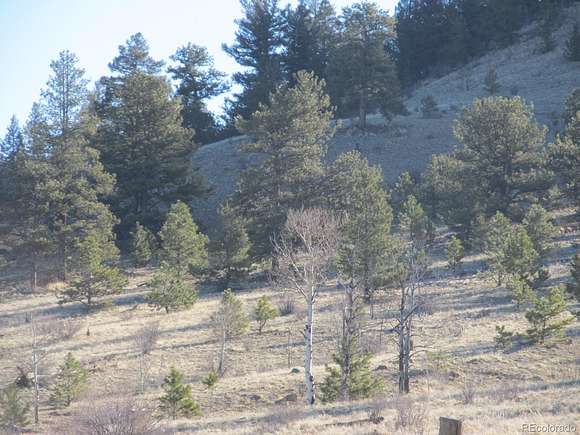 11.8 Acres of Land for Sale in Hartsel, Colorado