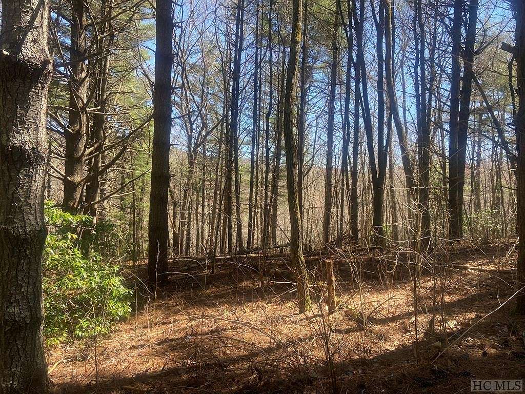 1 Acre of Residential Land for Sale in Glenville, North Carolina