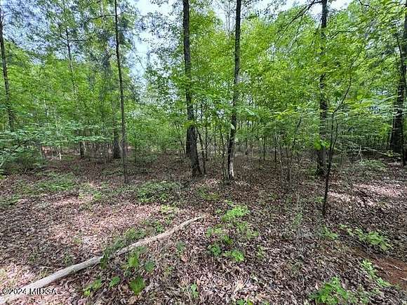 13.7 Acres of Land for Sale in Forsyth, Georgia