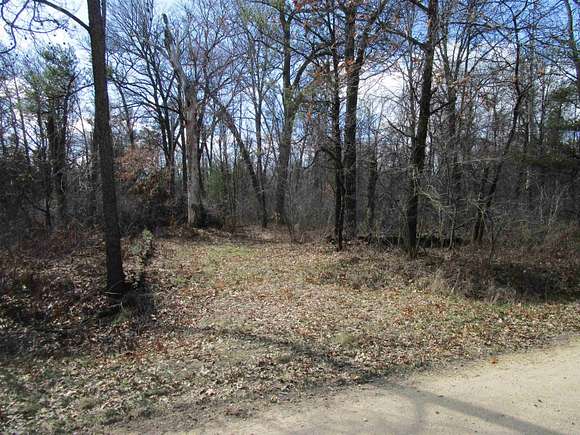 40 Acres of Recreational Land for Sale in Friendship, Wisconsin