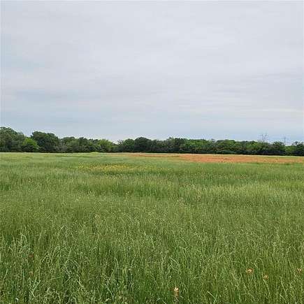 65.286 Acres of Agricultural Land for Sale in Burleson, Texas