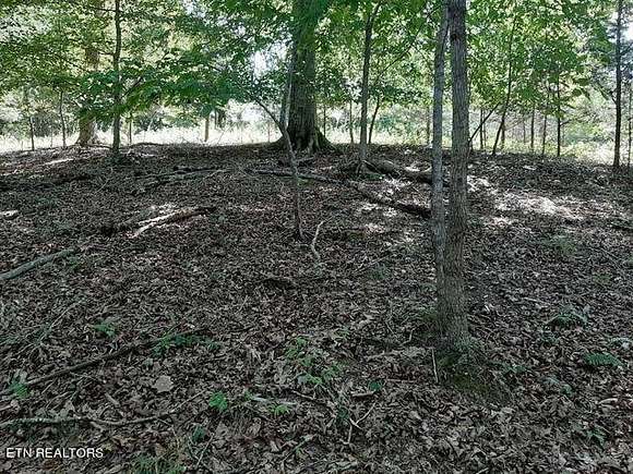 1.6 Acres of Residential Land for Sale in La Follette, Tennessee