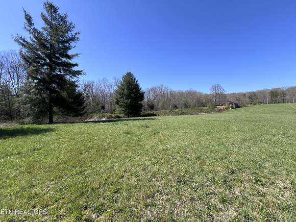 41.6 Acres of Agricultural Land for Sale in Sunbright, Tennessee
