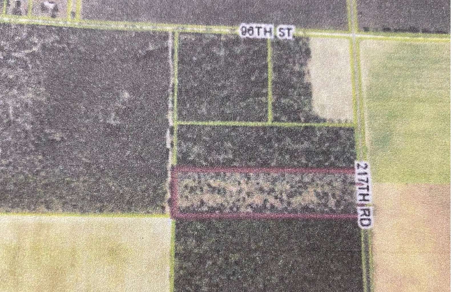 10 Acres of Residential Land for Sale in Live Oak, Florida