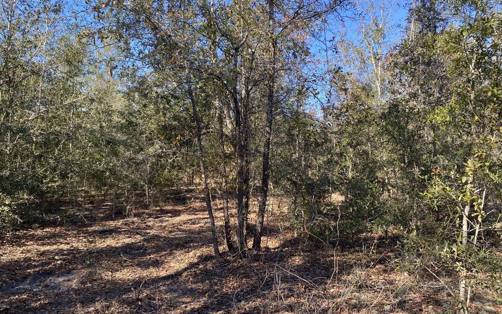 10 Acres of Residential Land for Sale in Live Oak, Florida