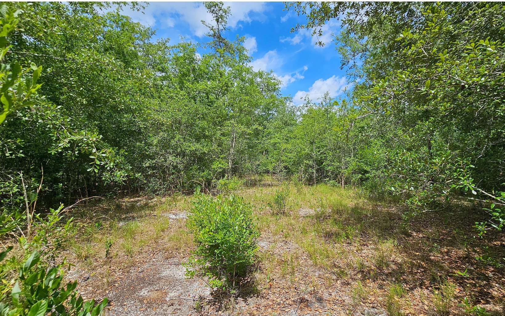 10 Acres of Residential Land for Sale in Live Oak, Florida