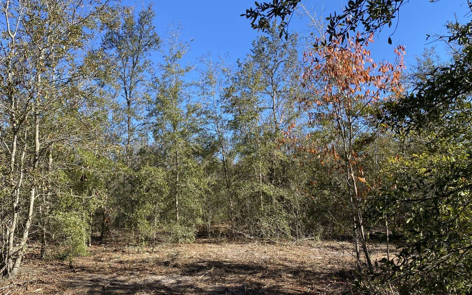 10 Acres of Residential Land for Sale in Live Oak, Florida