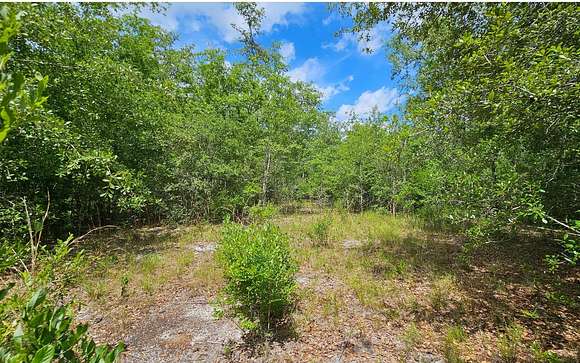 10 Acres of Residential Land for Sale in Live Oak, Florida