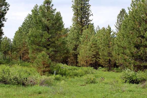 2.14 Acres of Land for Sale in Cascade, Idaho