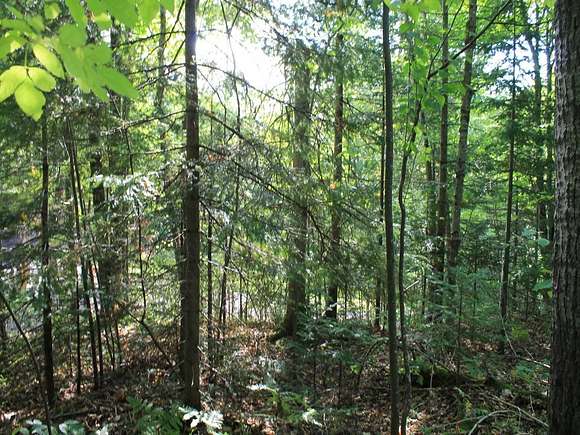 0.24 Acres of Residential Land for Sale in Hurley, Wisconsin