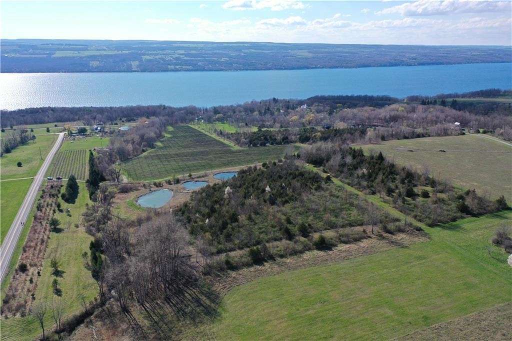 16.2 Acres of Land for Sale in Hector, New York