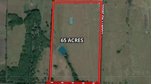 65 Acres of Land for Sale in Honey Grove, Texas