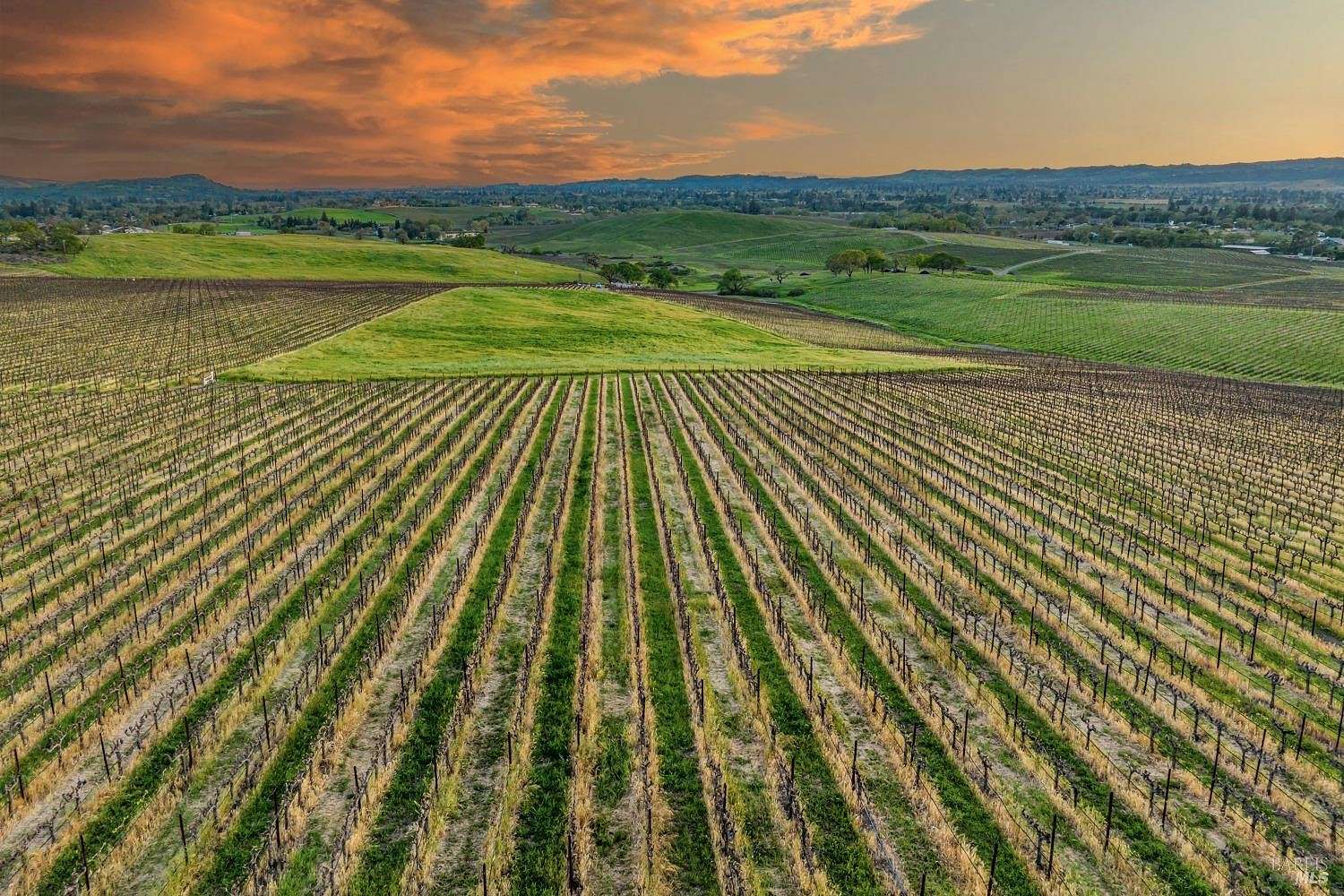 14.7 Acres of Agricultural Land for Sale in Napa, California