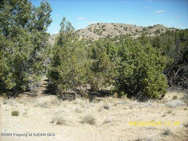 4.9 Acres of Land for Sale in Aztec, New Mexico