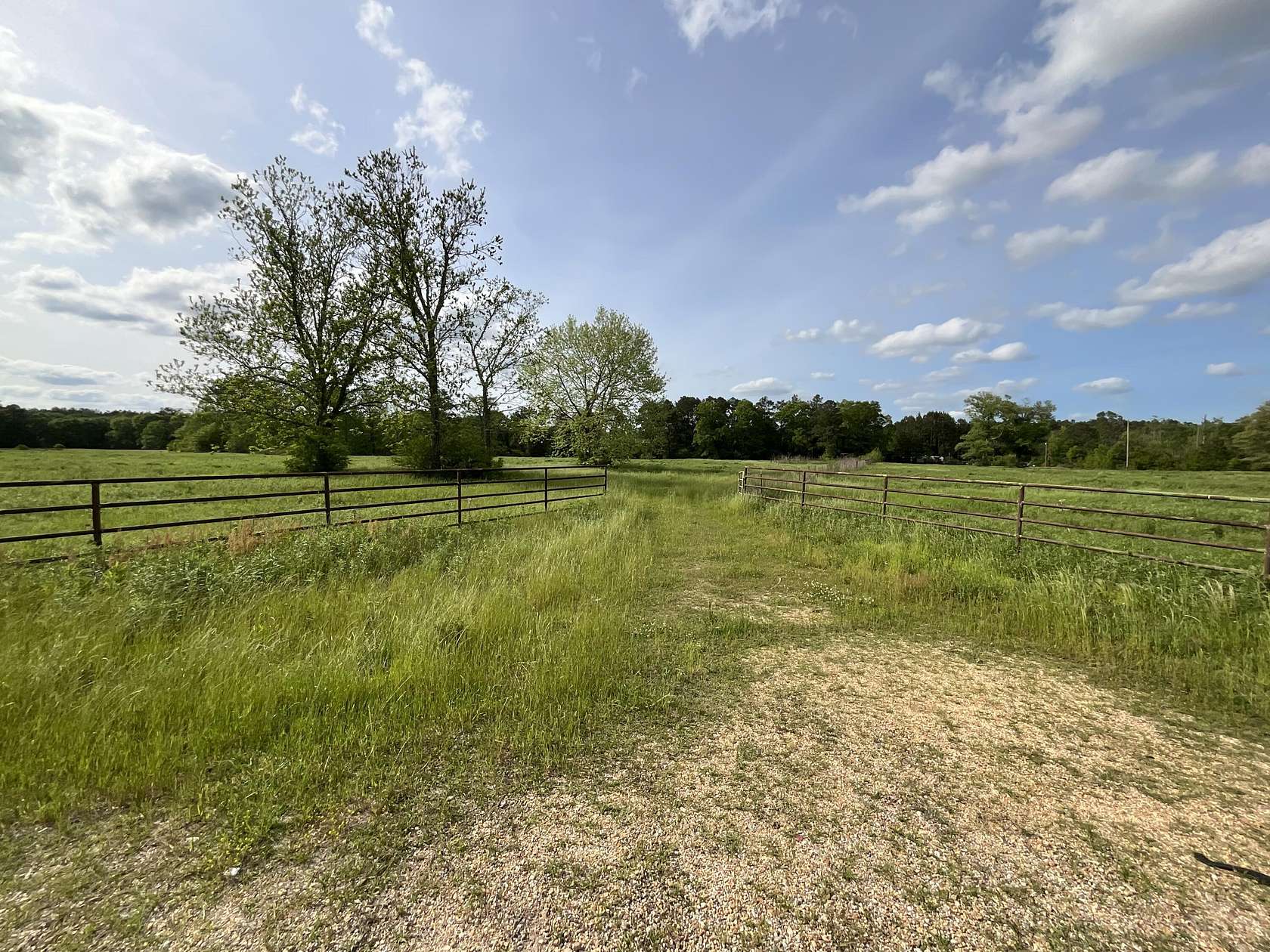 49.2 Acres of Agricultural Land for Sale in Columbia, Mississippi