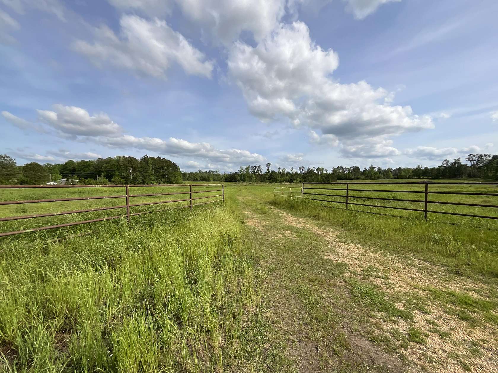 38.6 Acres of Agricultural Land for Sale in Columbia, Mississippi