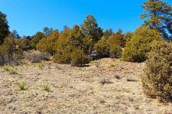 0.68 Acres of Residential Land for Sale in South Fork, Colorado