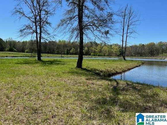 60.7 Acres of Land for Sale in Clanton, Alabama