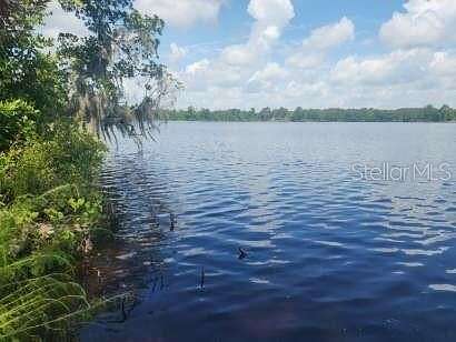 24.3 Acres of Agricultural Land for Sale in Ocklawaha, Florida