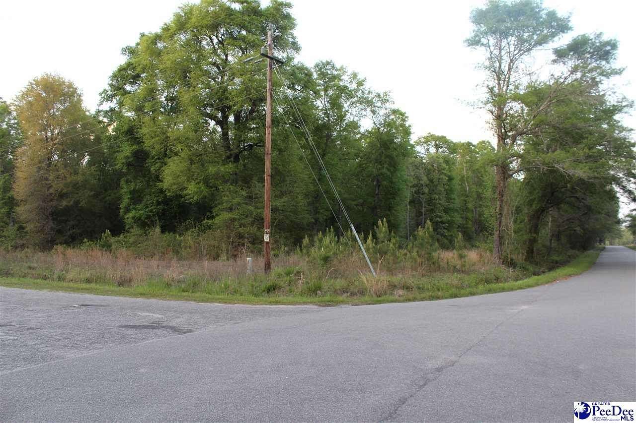 1.3 Acres of Residential Land for Sale in Andrews, South Carolina