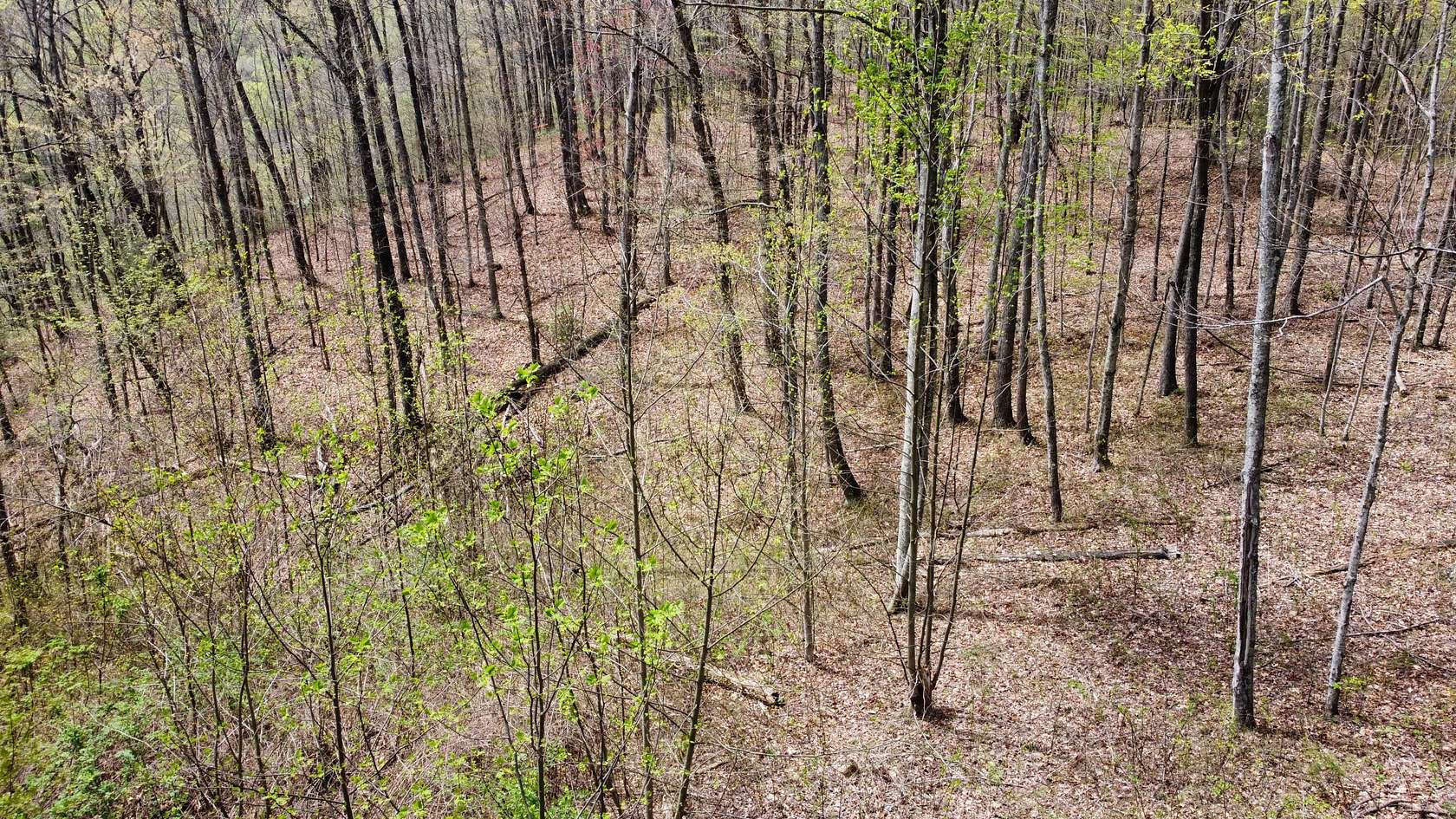 1.7 Acres of Land for Sale in Frenchburg, Kentucky
