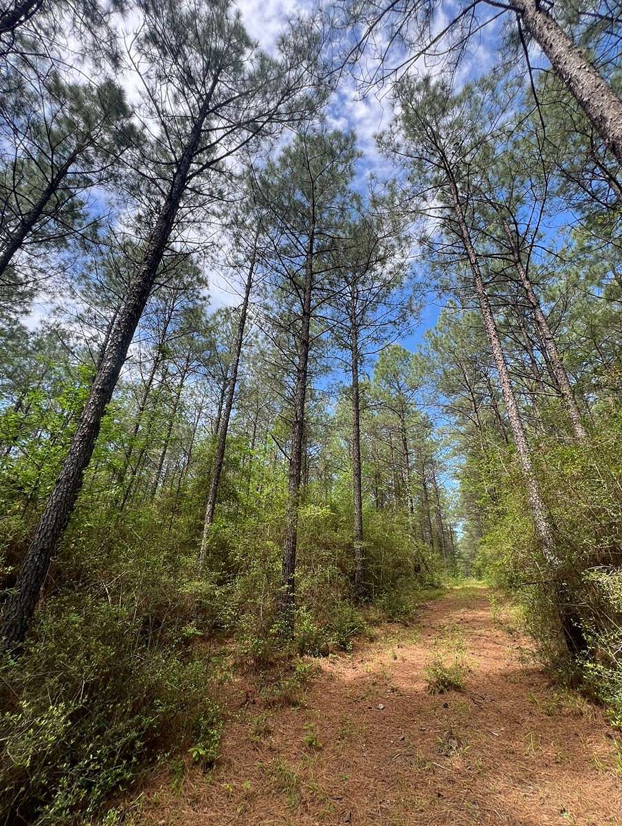 60 Acres of Recreational Land & Farm for Sale in Weston, Louisiana