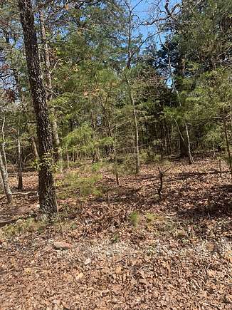15 Acres of Land for Sale in Ava, Missouri