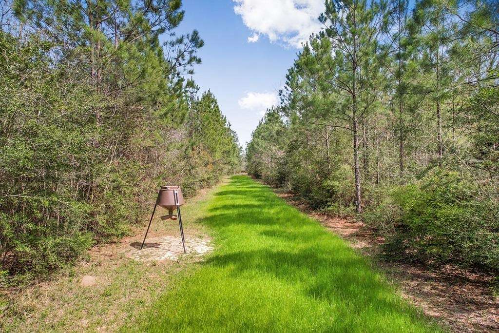 48 Acres of Recreational Land & Farm for Sale in Summit, Mississippi